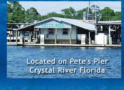 Pete's Pier Crystal River Florida