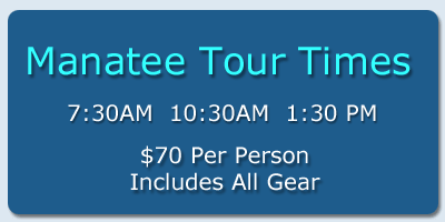 Crystal River Florida Manatee Tour Time Schedule